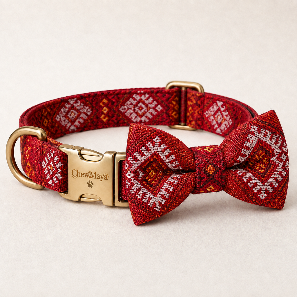 Red Dhaka Dog Collar & Bow by ChewMaya