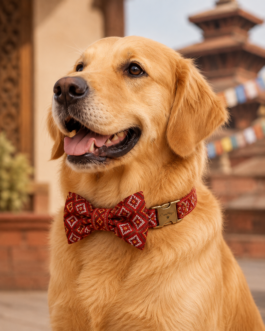 Red Dhaka Dog Collar & Bow by ChewMaya