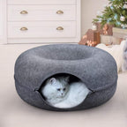 Gray donut-shaped cat tunnel with a cat at the entrance