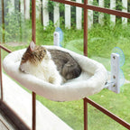 Cat resting on a window-mounted perch