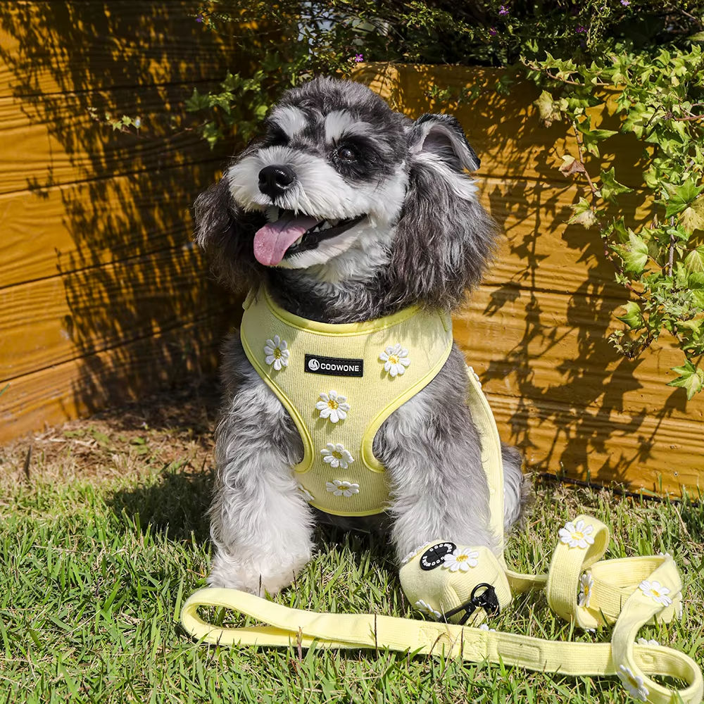 Dog wearing the floral-print harness from the ChewMaya Walk Bundle