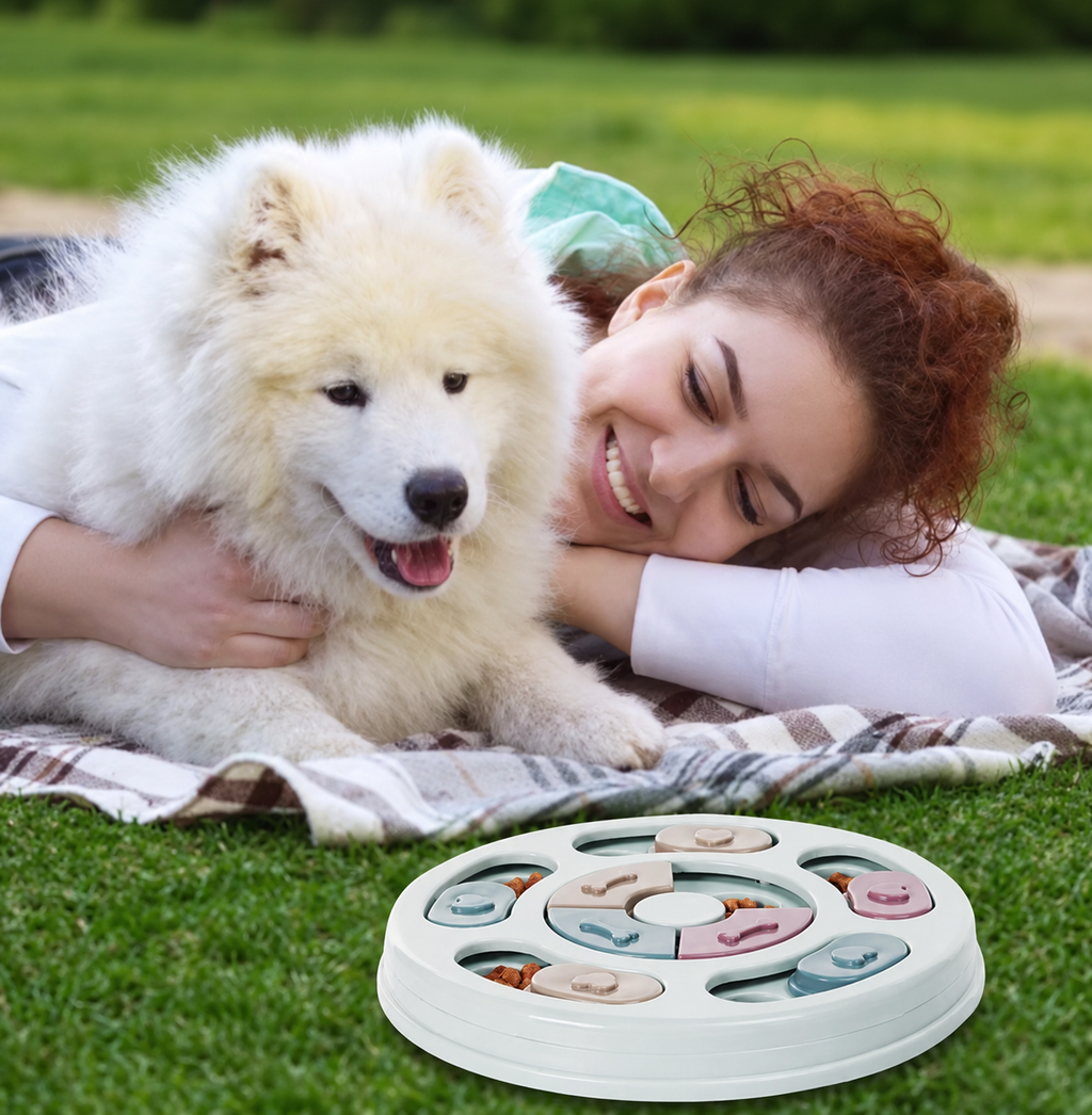Dog puzzle feeder in outdoor use
