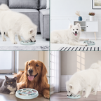 Dog puzzle feeder lifestyle gallery