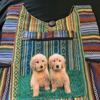 Himalayan Twin Pups Woven Hobo Bag clean product detail 2