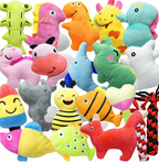 Colorful assorted dog toy set with plush characters and rope toys