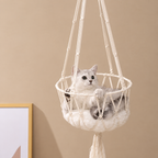 Cat resting in a cream macrame hanging basket