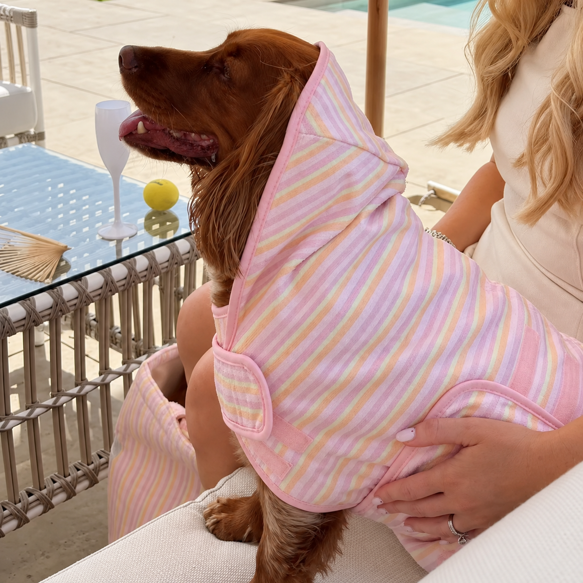 Side view of a dog wearing the pastel striped drying robe
